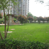 北京炫特区图片