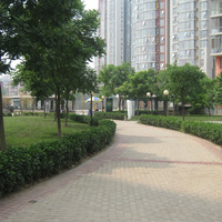 北京炫特区图片