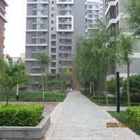 北京爱这城图片