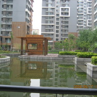 北京爱这城图片