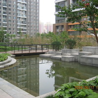 北京爱这城图片