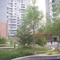 北京爱这城图片