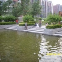 北京爱这城图片