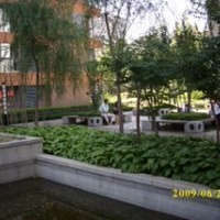 北京爱这城图片