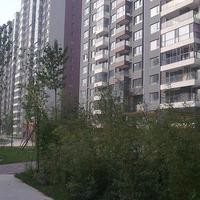 北京爱这城图片