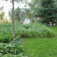 北京北苑家园清友园图片