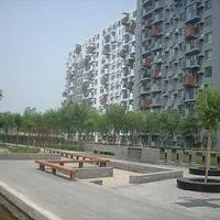 北京苹果派图片