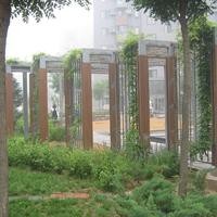 北京苹果派图片