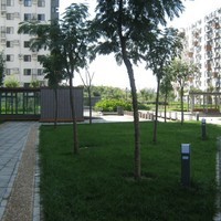 北京苹果派图片