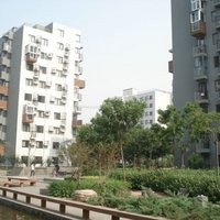 北京苹果派图片