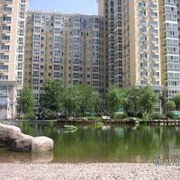 北京朝阳无限图片