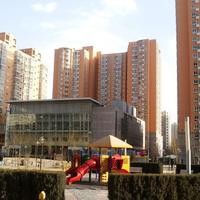 北京朝阳无限图片