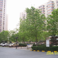 北京北苑家园绣菊园图片