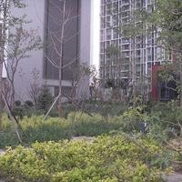 北京北纬40°图片