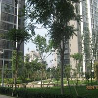 北京金泰城.丽湾图片