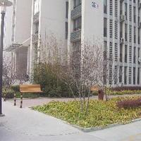 北京柏林爱乐三期图片