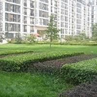 北京柏林爱乐三期图片