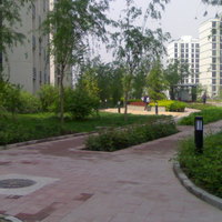 北京柏林爱乐三期图片