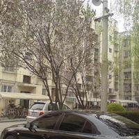 北京农光里小区图片