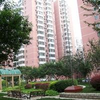 北京农光里小区图片