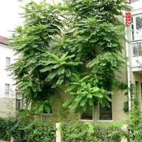 北京华龙苑南里小区图片