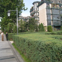 北京旭辉.奥都图片