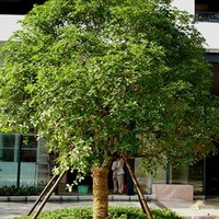 北京金地国际花园图片
