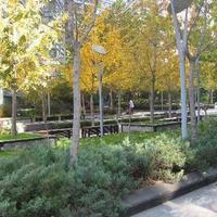 北京金地国际花园图片