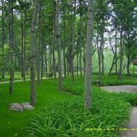 北京京贸国际公寓图片