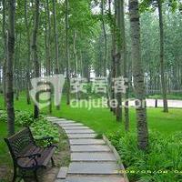 北京京贸国际公寓图片