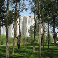 北京京贸国际公寓图片