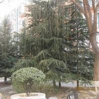 北京北京人家图片