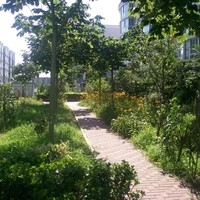 北京新潮嘉园图片