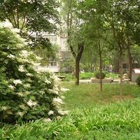 北京柳芳南里图片