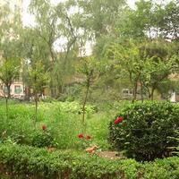 北京柳芳南里图片