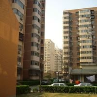 北京北苑家园绣菊园图片