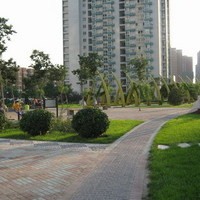 北京北苑家园绣菊园图片