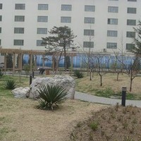 北京东领鉴筑图片