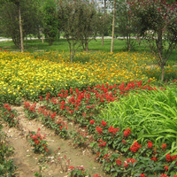 北京炫特区图片