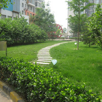 北京炫特区图片