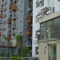 北京苹果派图片