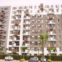 北京苹果派图片