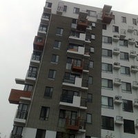 北京苹果派图片