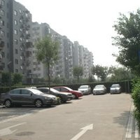 北京苹果派图片