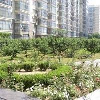 北京北苑家园绣菊园图片