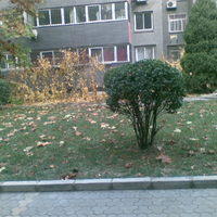 北京天龙苑小区图片