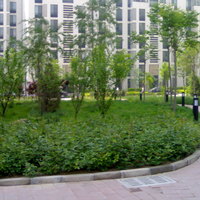 北京柏林爱乐三期图片