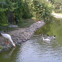 北京巧克力城图片