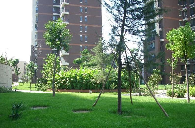 北京金汉绿港图片