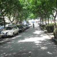 北京海特花园图片